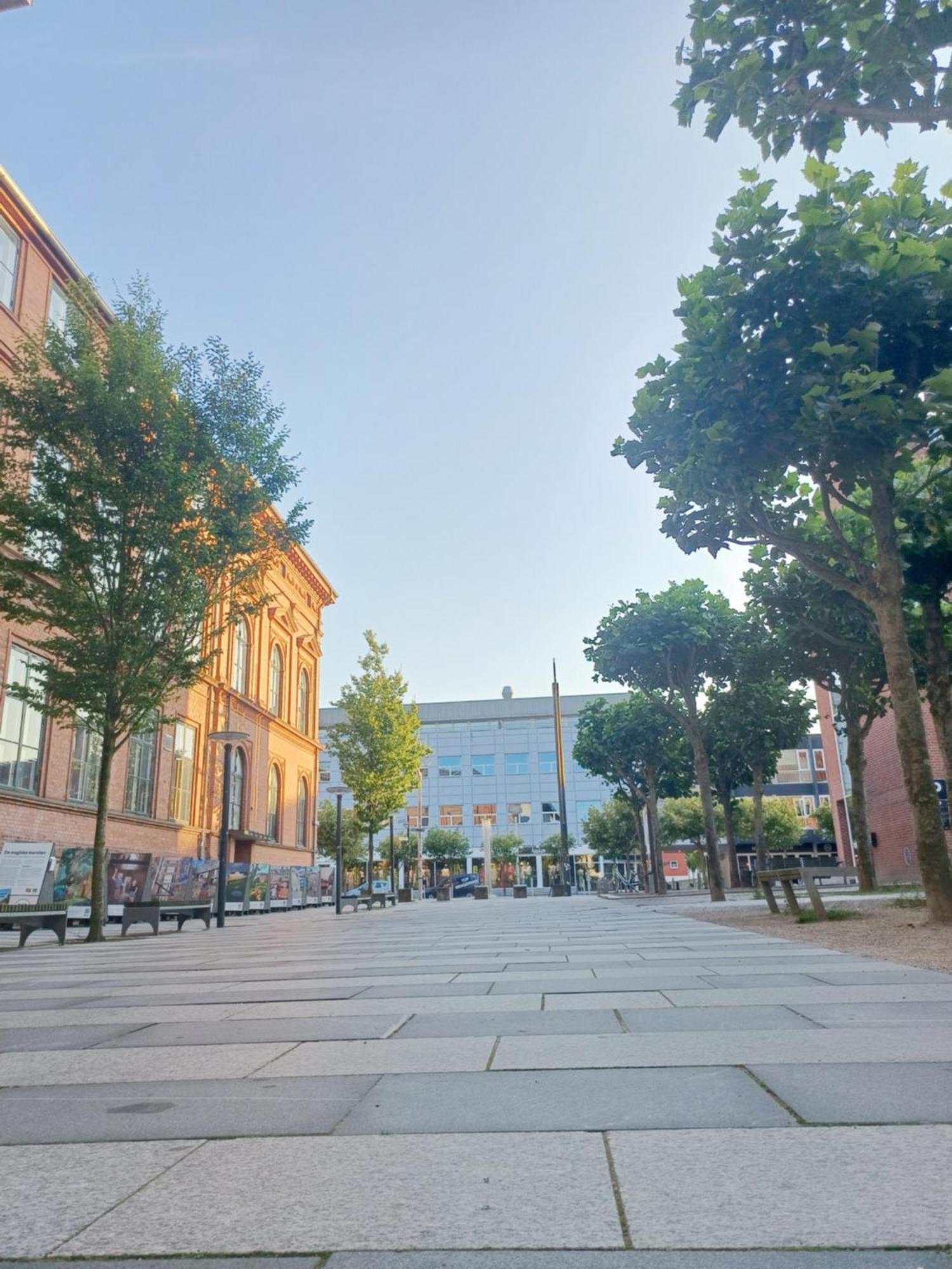 Large Double Room In The Center Of City Randers Dış mekan fotoğraf
